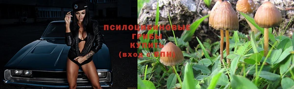трава Алексин