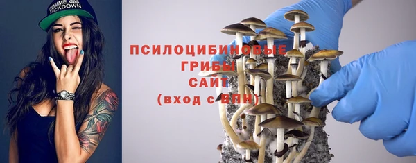 прущий лед Алексеевка