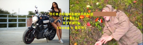 трава Алексин